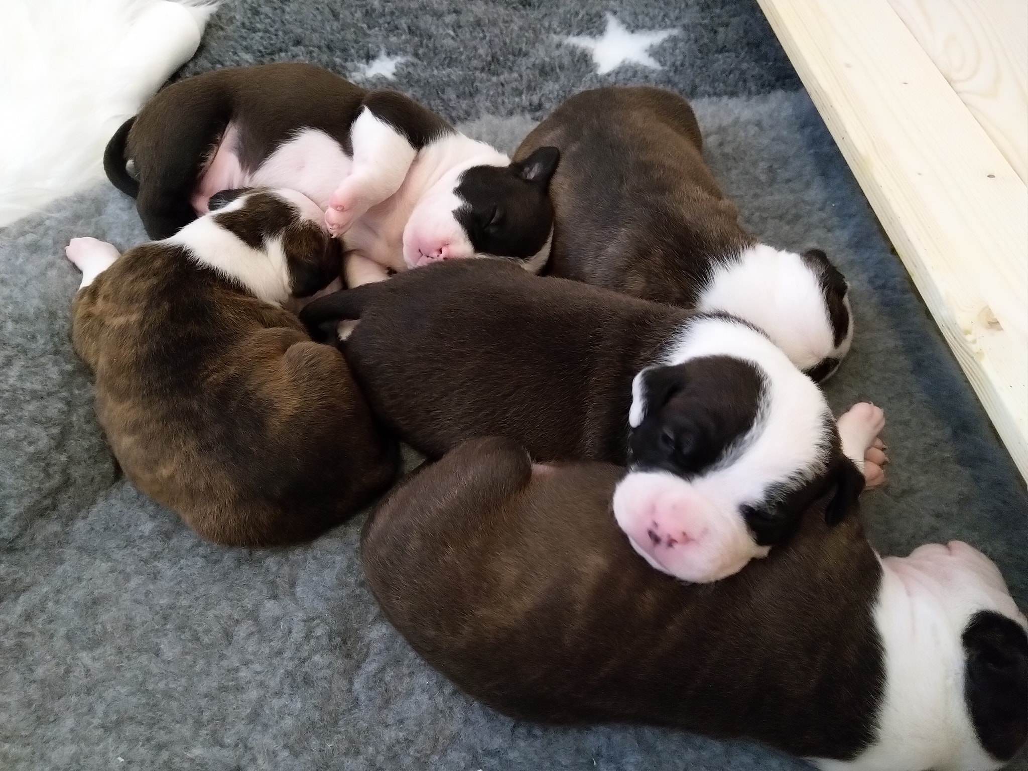468099354 1088876192690444 2047042647212529300 n